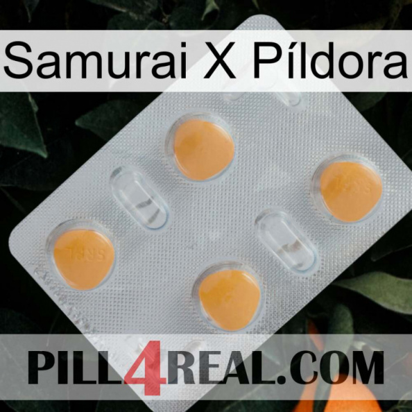 Samurai X Píldora 24.jpg